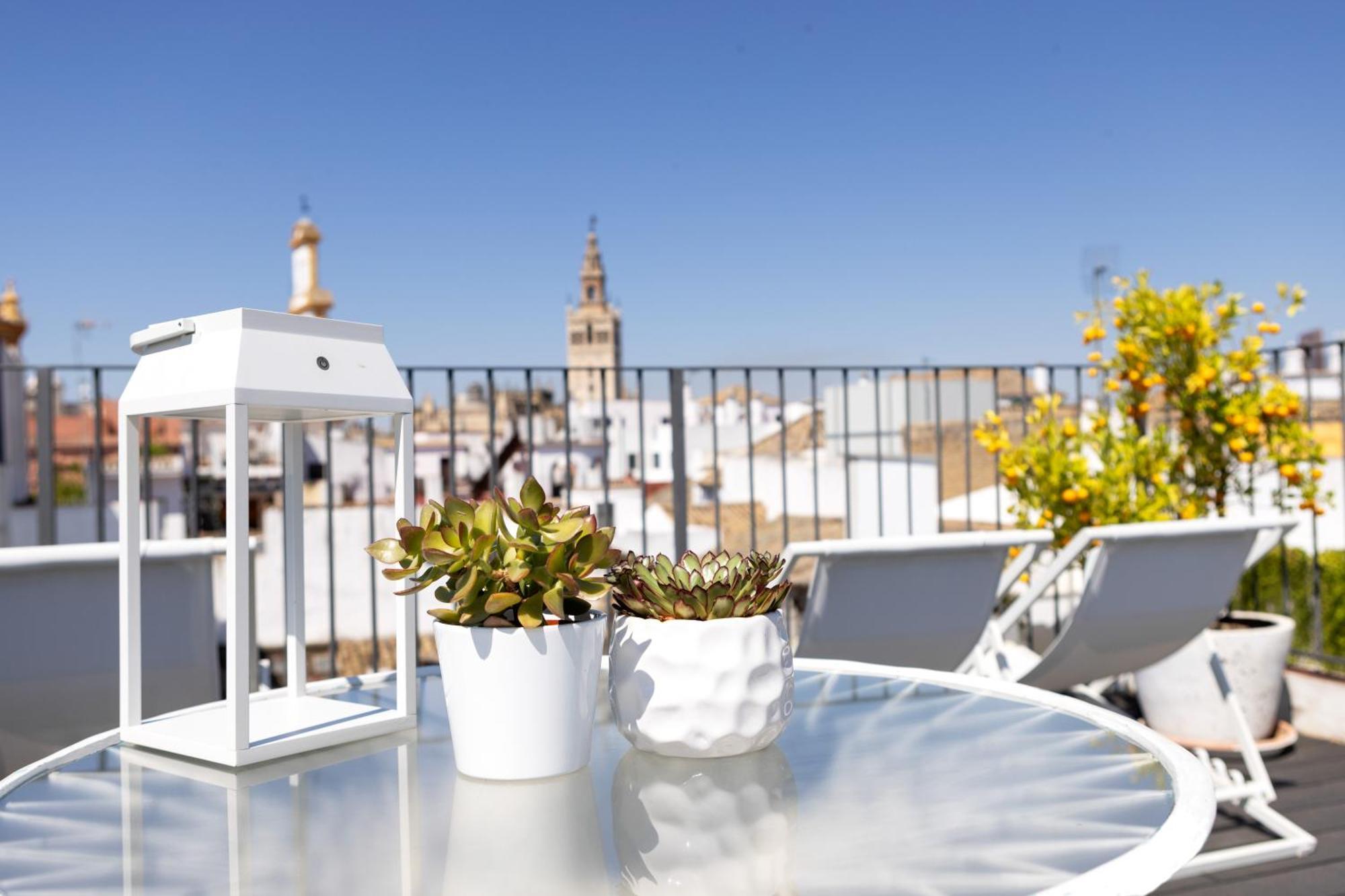 Hotel Amadeus